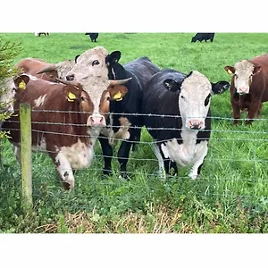  Farm stay Eastfield Free Parking And Ev Charger United Kingdom